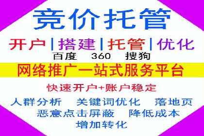 高效SEM托管公司案例对比分析